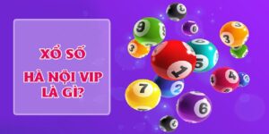 Hà Nội Vip